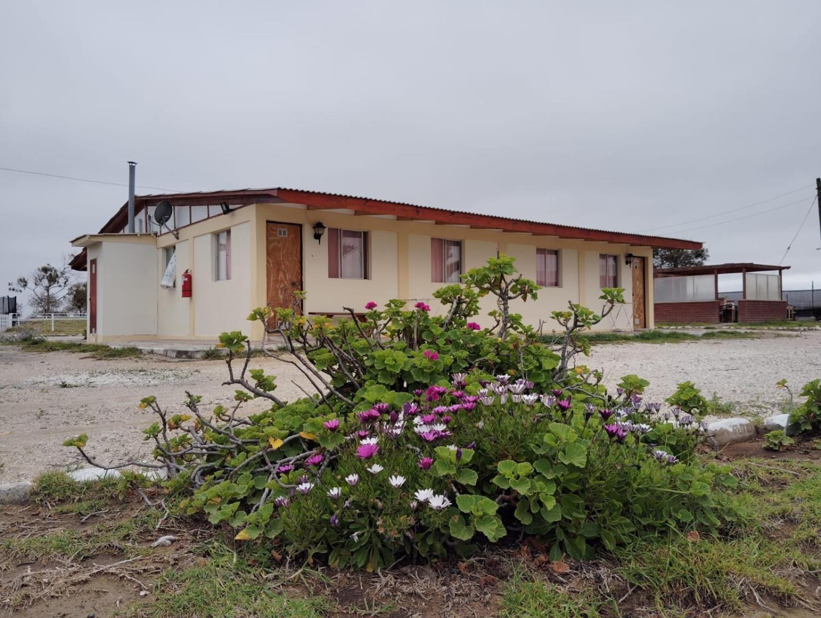 Aparthotel Santa Maria Punta de Choros Oda fotoğraf